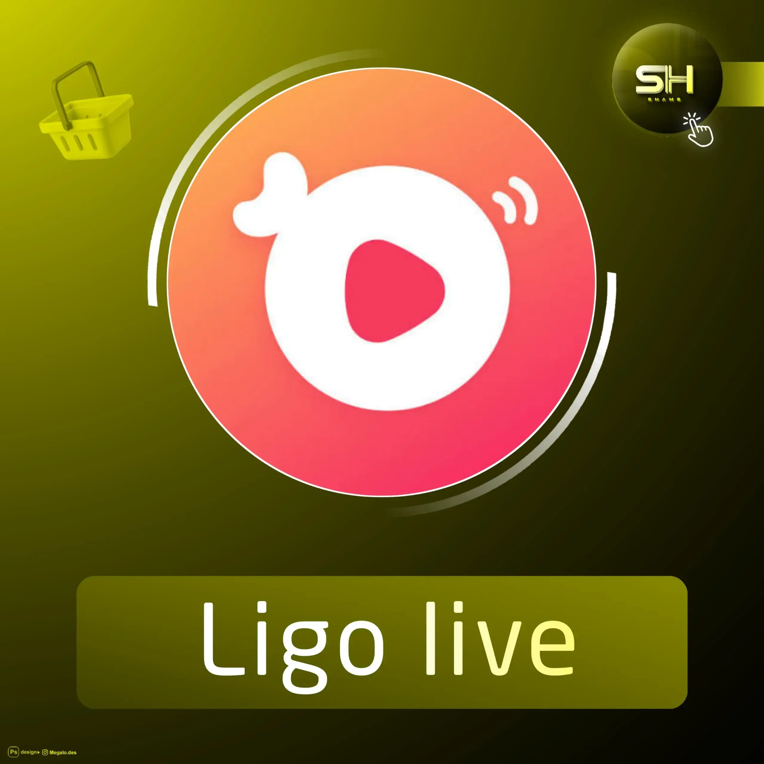 Ligo live سيرفر 3
